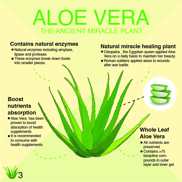 PHHP Phyto Aloe Vera Whole Leaf Concentrate 60000mg 1 Liter | PHHP ...